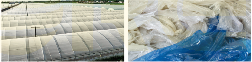 китайское фото 1 