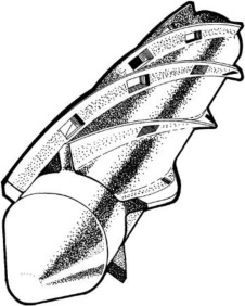 Турбошнек экструдера